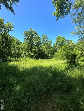 $2,645,000 | 224 St Grandin Mo 63943, Ellsinore, MO 63937