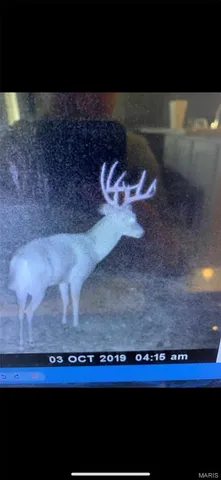 $2,645,000 | 224 St Grandin Mo 63943, Grandin, MO 63943