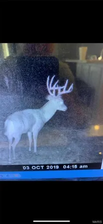 $2,645,000 | 224 St Grandin Mo 63943, Ellsinore, MO 63937