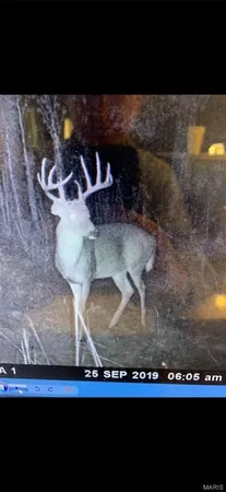 $2,645,000 | 224 St Grandin Mo 63943, Ellsinore, MO 63937