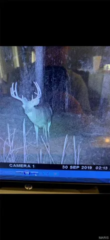 $2,645,000 | 224 St Grandin Mo 63943, Grandin, MO 63943