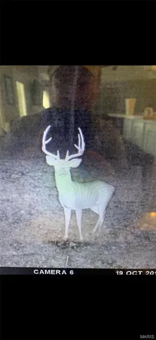 $2,645,000 | 224 St Grandin Mo 63943, Grandin, MO 63943