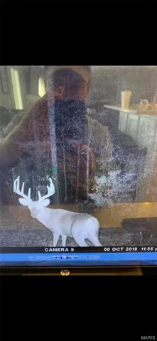 $2,645,000 | 224 St Grandin Mo 63943, Grandin, MO 63943