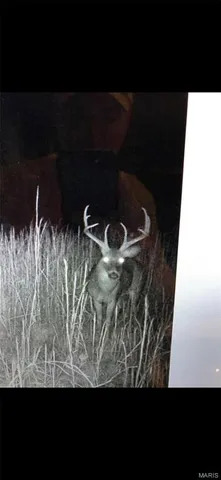 $2,645,000 | 224 St Grandin Mo 63943, Grandin, MO 63943