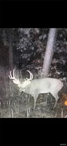 $2,645,000 | 224 St Grandin Mo 63943, Grandin, MO 63943