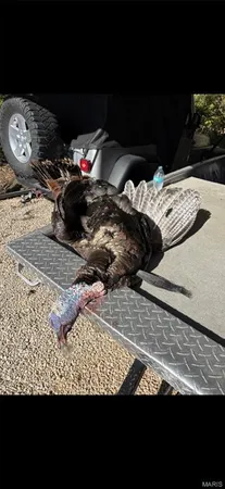 $2,645,000 | 224 St Grandin Mo 63943, Ellsinore, MO 63937