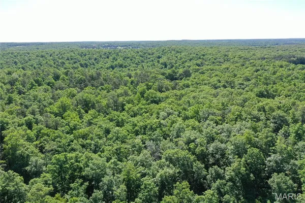 $2,645,000 | 224 St Grandin Mo 63943, Ellsinore, MO 63937
