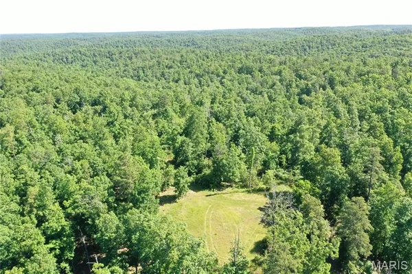 $2,645,000 | 224 St Grandin Mo 63943, Ellsinore, MO 63937