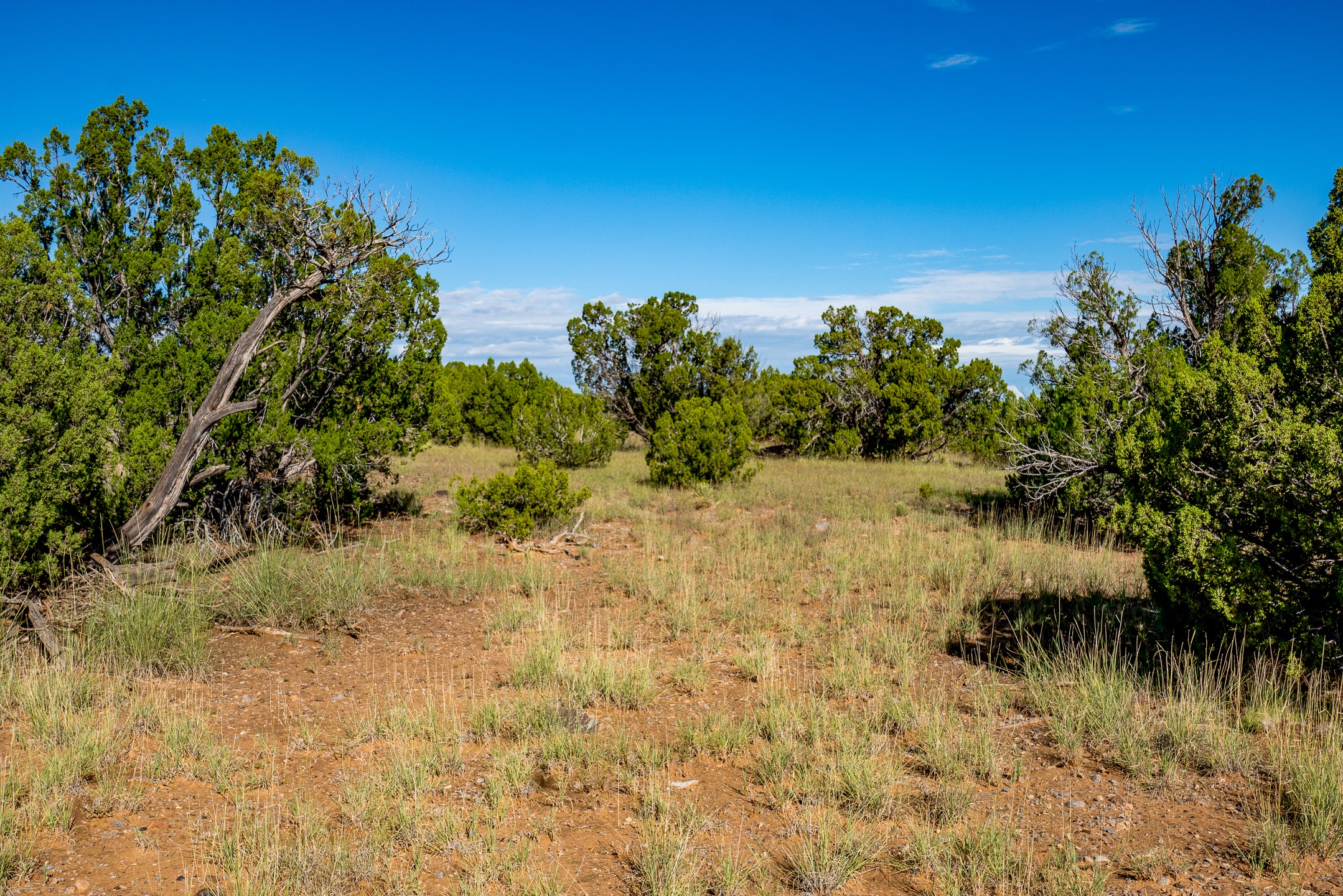 95 Grenfell Ranch Road Cerrillos, NM 87010 - Photo 30 of 47