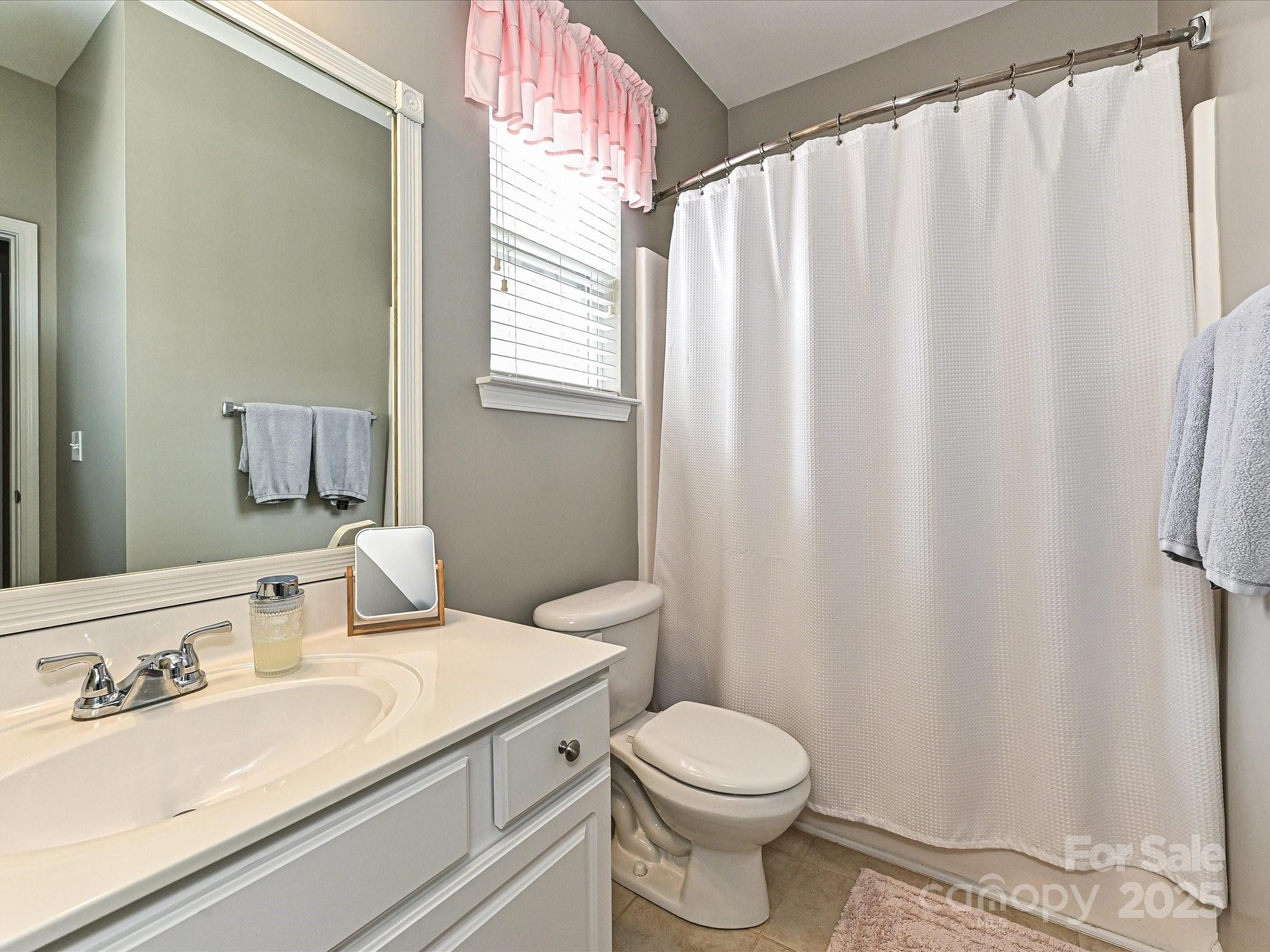 460 Silver Cypress Lane Fort Mill, SC 29708 - Photo 19 of 29 a bathroom with a sink and a mirror