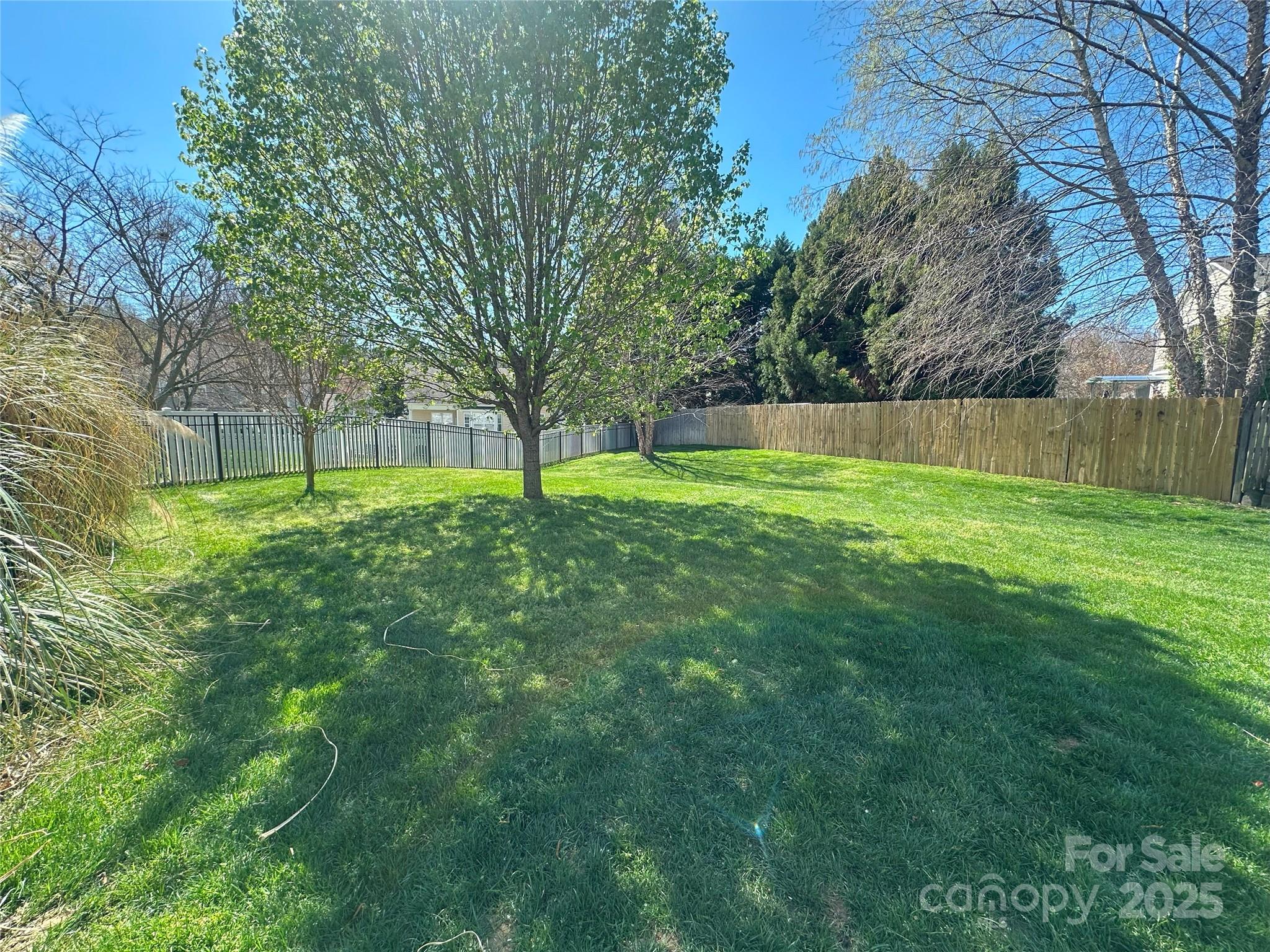 460 Silver Cypress Lane Fort Mill, SC 29708 - Photo 28 of 29 a view of a big yard with palm trees