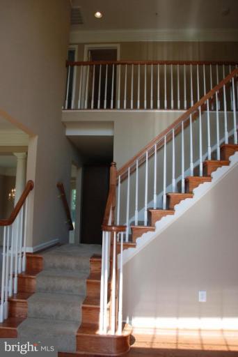 Entrance / Foyer