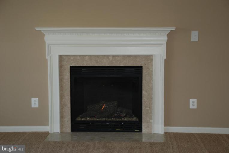 12702 Tayman Farm Road Brandywine, MD 20613 - Photo 8 of 13 Fireplace