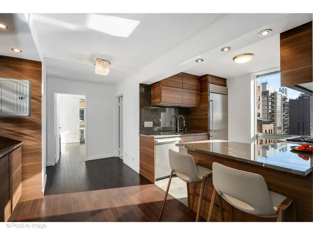 $899,000 | 1555 North Dearborn Street, Unit 14AB, Chicago, IL 60610