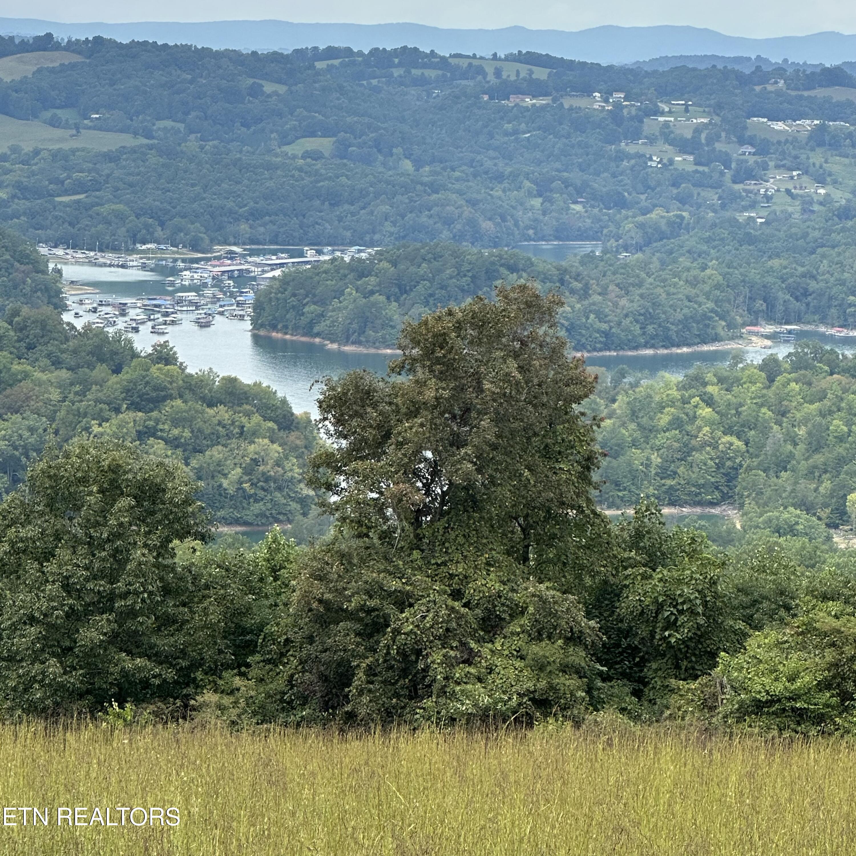 Bob Wright Road Maynardville, TN 37807 - Photo 8 of 14 lot 11 or 9 of 5