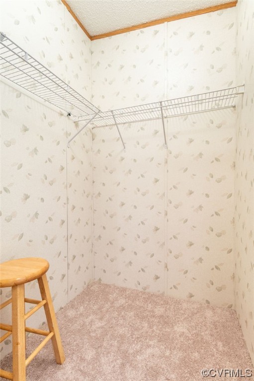 6028 Cartersville Road Powhatan, VA 23139 - Photo 15 of 24 Gallery Image 15