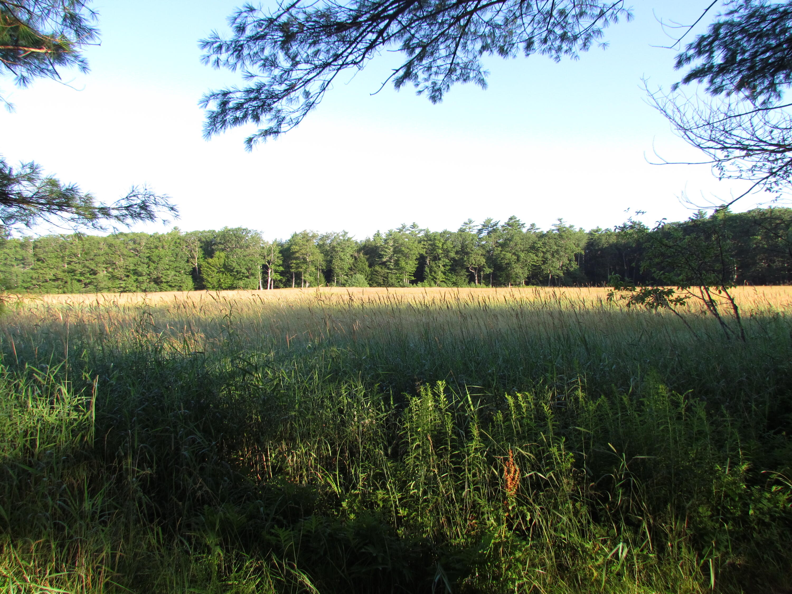 53 Ferry Road Lisbon, ME 04250 - Photo 8 of 50 Rear view of Abutter's Field
