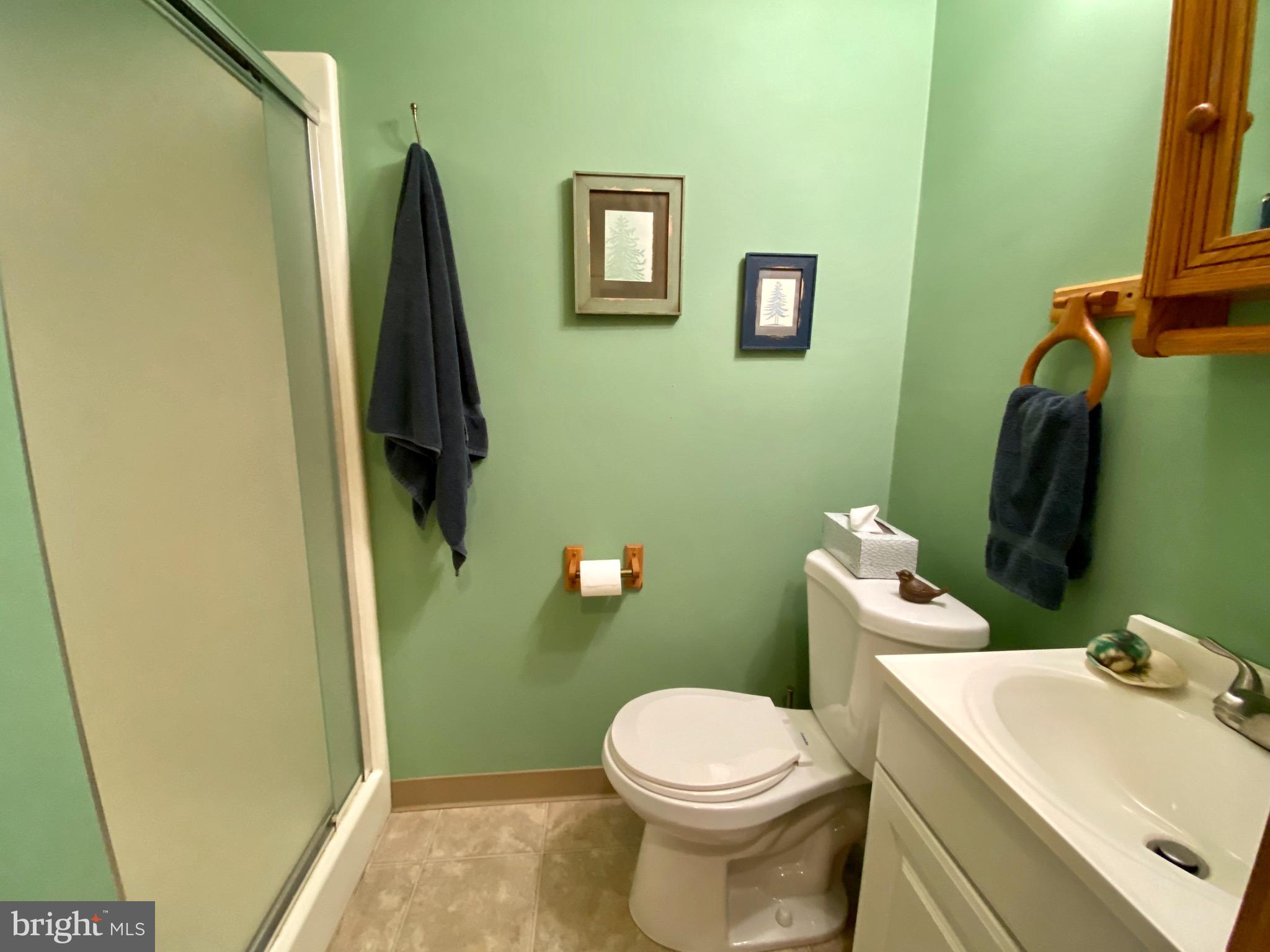 115 Walker Road Macungie, PA 18062 - Photo 38 of 71 Lower Level Full Bathroom