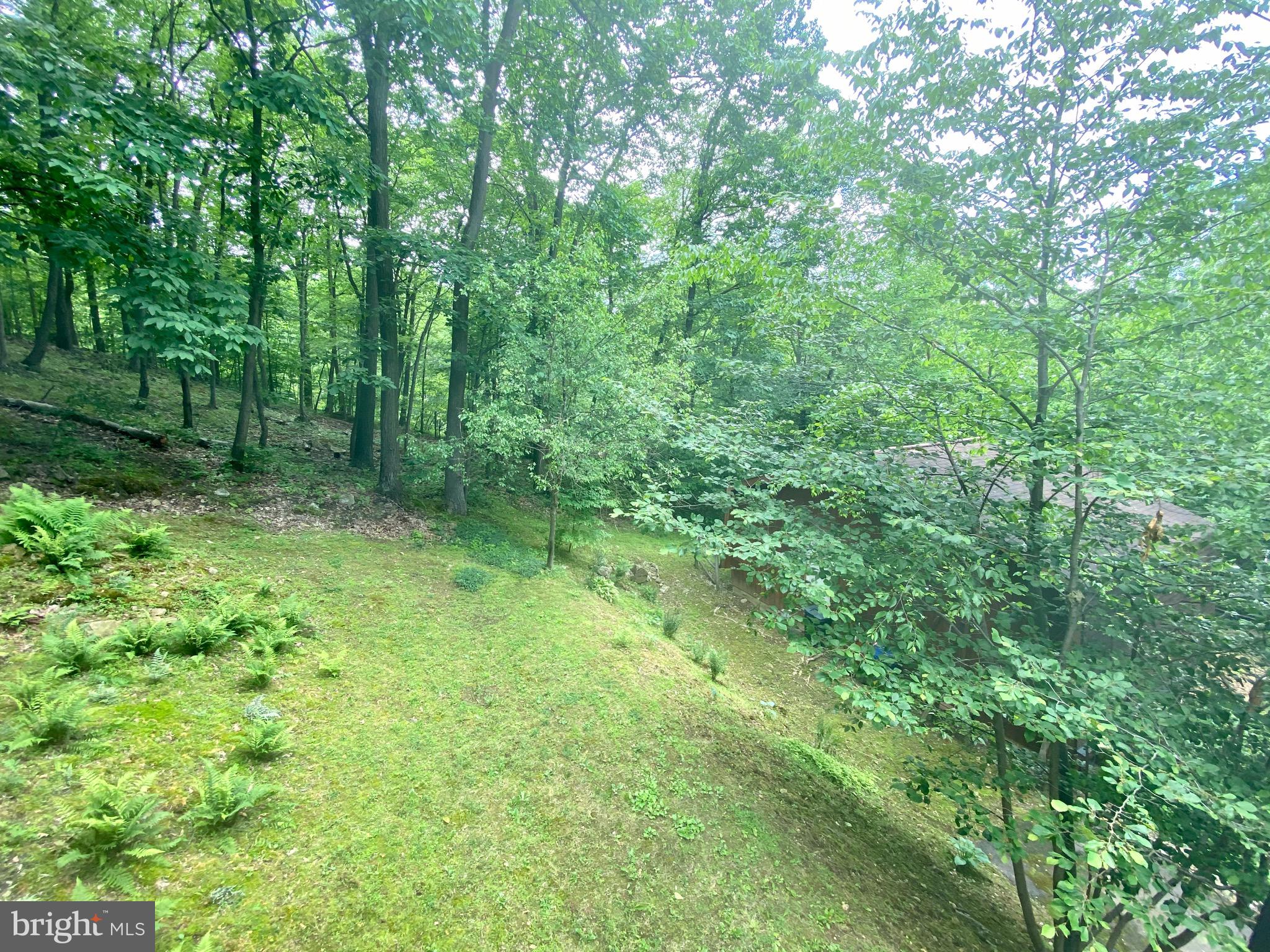 115 Walker Road Macungie, PA 18062 - Photo 68 of 71 Gallery Image 68