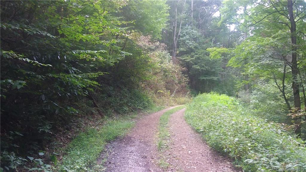 0 Conley Springs Road Clyde, NC 28721 - Photo 1 of 2
