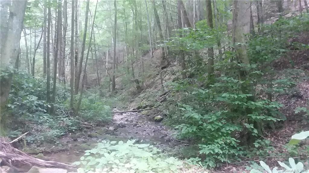0 Conley Springs Road Clyde, NC 28721 - Photo 2 of 2