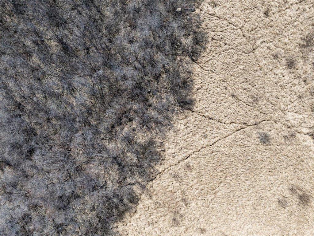 6395 29th Avenue Southwest Pequot Lakes, MN 56472 - Photo 5 of 22