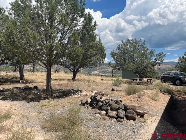 27176 Cactus Park Road Cedaredge, CO 81413 - Photo 2 of 10