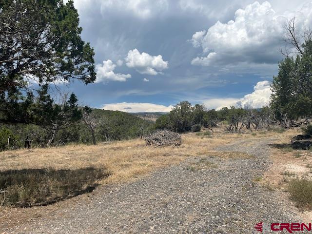 27176 Cactus Park Road Cedaredge, CO 81413 - Photo 3 of 10