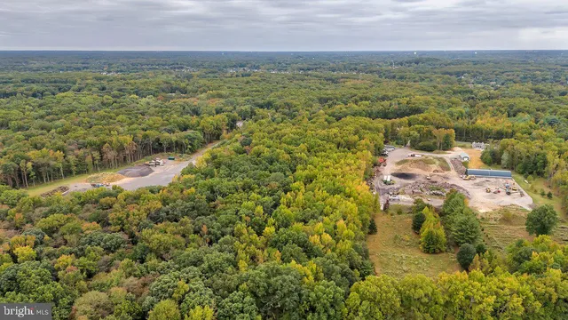 a view of outdoor space and trees