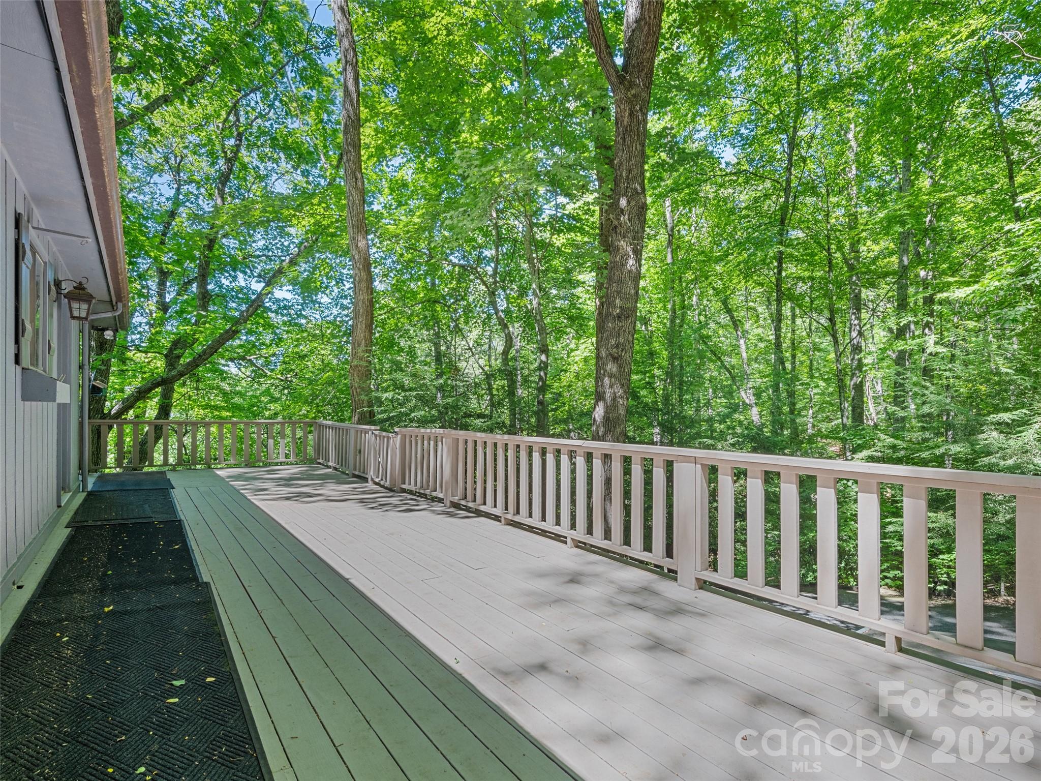 1392 Mt Chalet Road Canton, NC 28716 - Photo 9 of 34