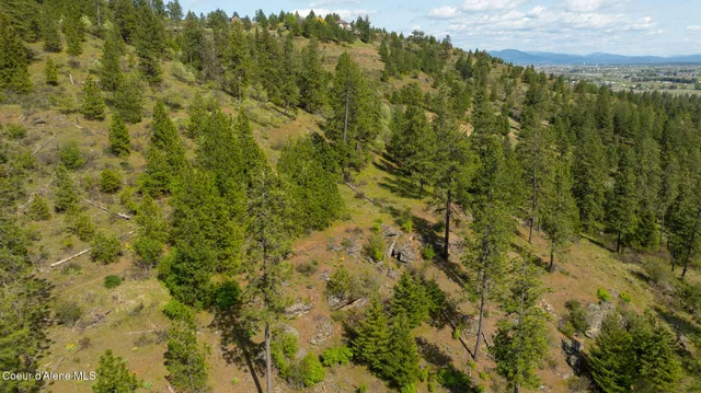 $445,000 | Nka West Julia Drive, Post Falls, ID 83854