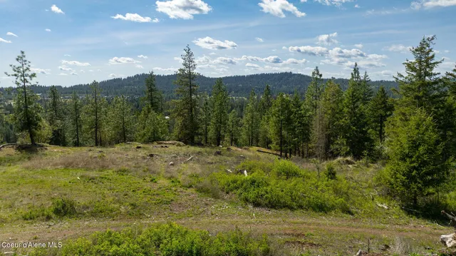 $445,000 | Nka West Julia Drive, Post Falls, ID 83854