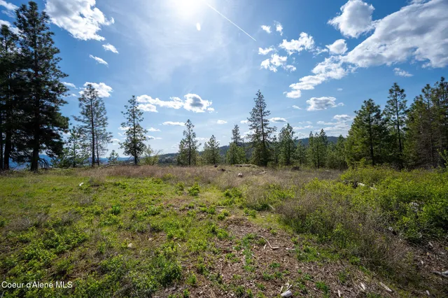 $445,000 | Nka West Julia Drive, Post Falls, ID 83854