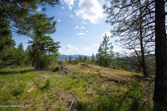 $445,000 | Nka West Julia Drive, Post Falls, ID 83854