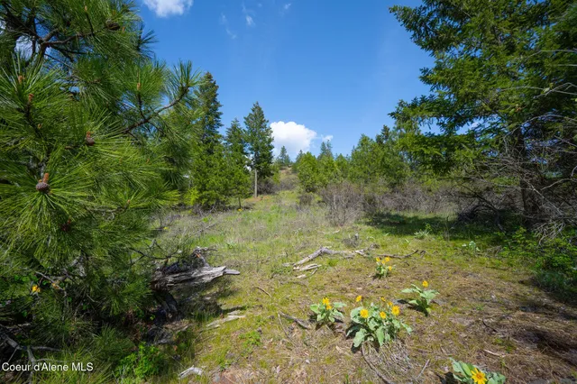 $445,000 | Nka West Julia Drive, Post Falls, ID 83854