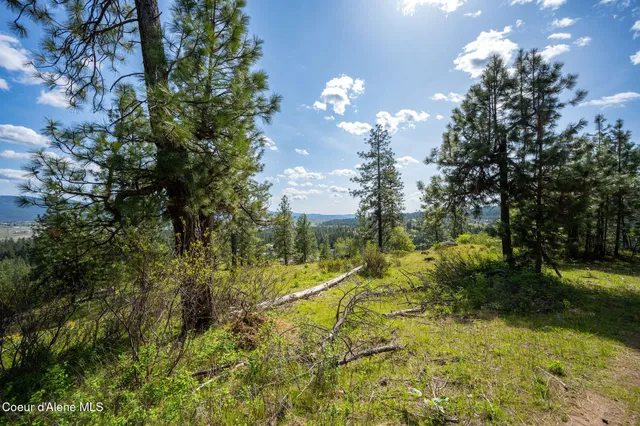 $445,000 | Nka West Julia Drive, Post Falls, ID 83854