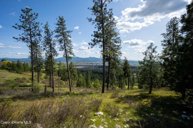$445,000 | Nka West Julia Drive, Post Falls, ID 83854