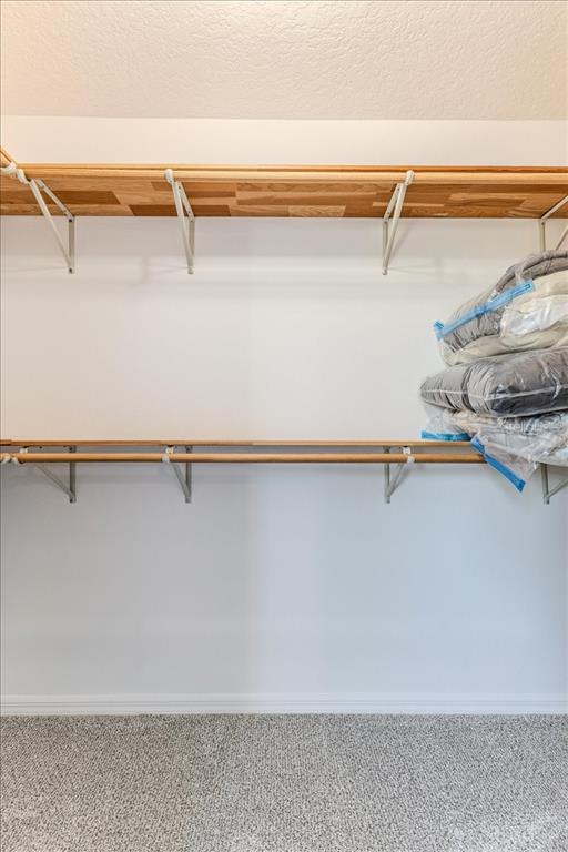 13377 Bolton Court Spring Hill, FL 34609 - Photo 41 of 75