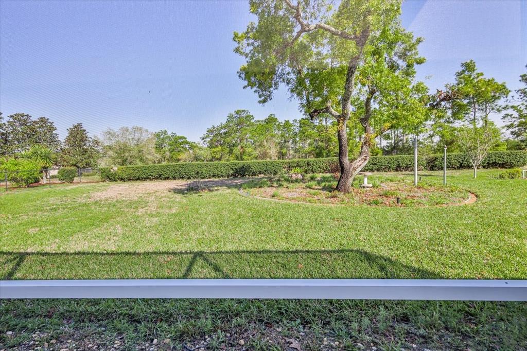 13377 Bolton Court Spring Hill, FL 34609 - Photo 47 of 75