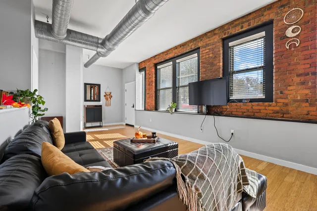 a living room with furniture and a potted plant
