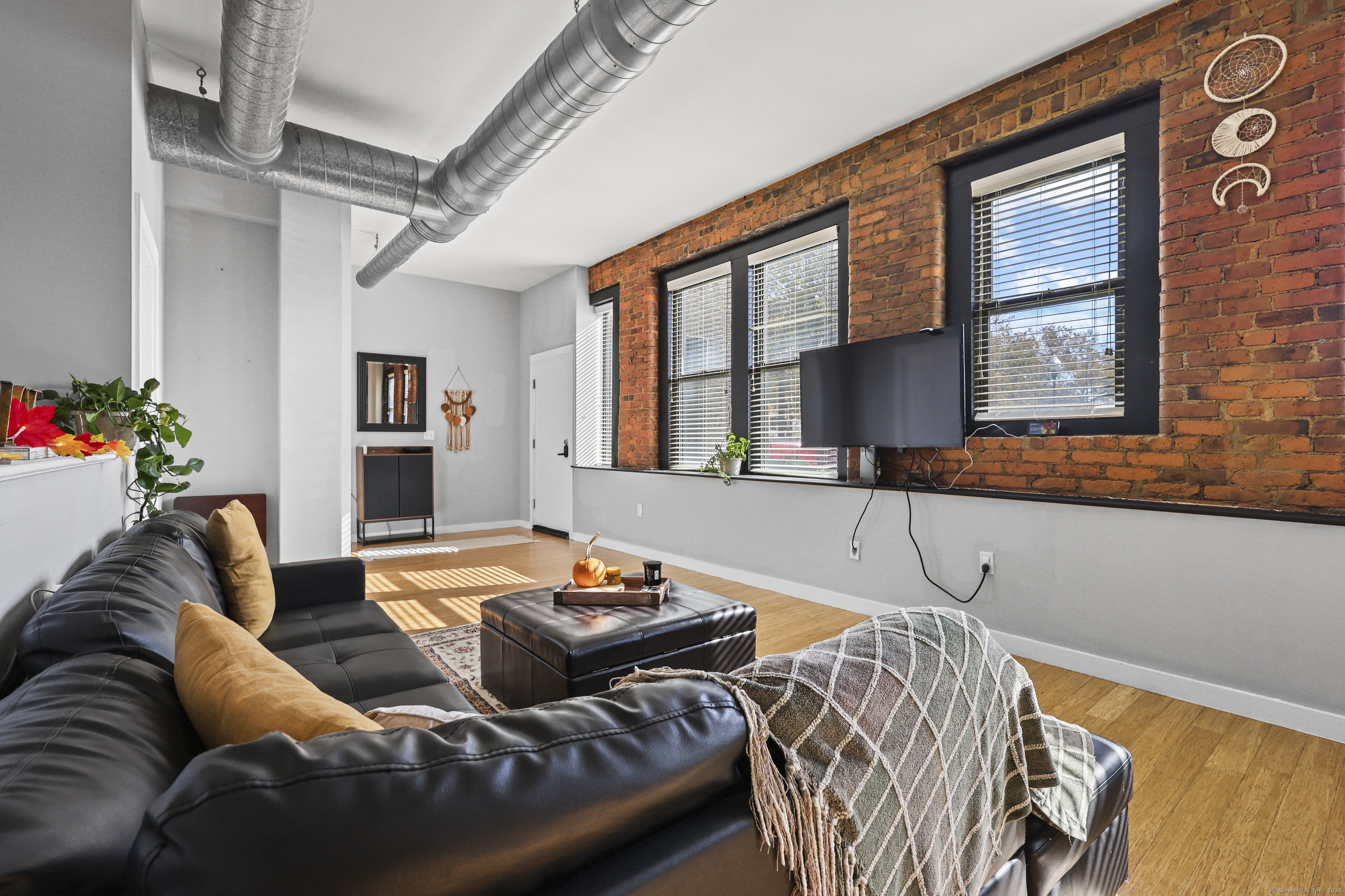 881 Lafayette Boulevard, Unit 1A Bridgeport, CT 06604 - Photo 8 of 37 a living room with furniture and a potted plant