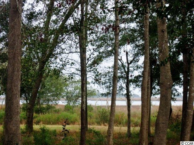 Channel Cat Cove Murrells Inlet, SC 29576 - Photo 1 of 9 Gallery Image 1