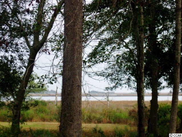 Channel Cat Cove Murrells Inlet, SC 29576 - Photo 2 of 9 Gallery Image 2
