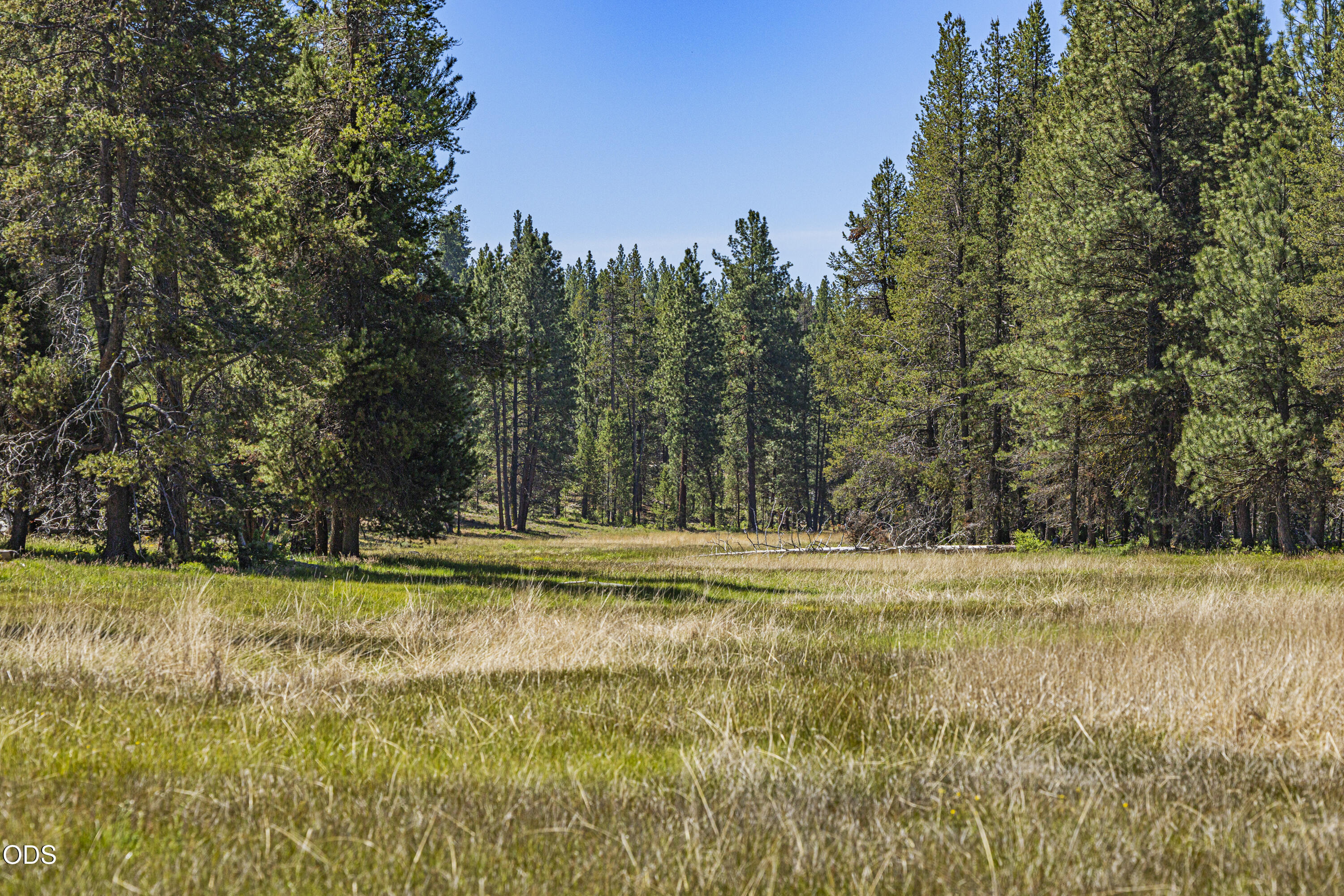 Williamson River Road, Unit 206226 Chiloquin, OR 97624 - Photo 33 of 50