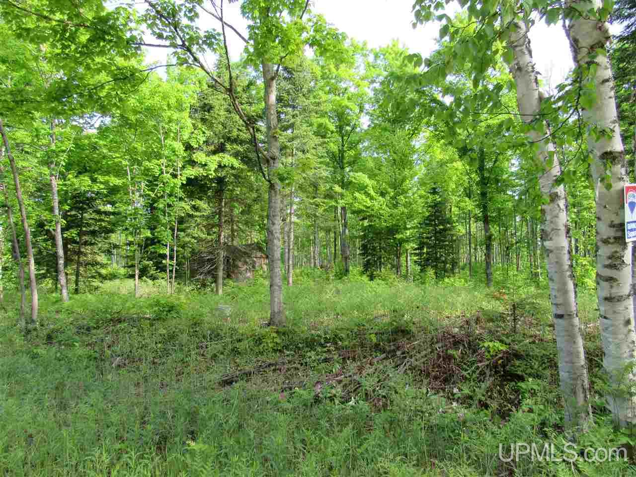 11998 Roy Wright Road Shingleton, MI 49884 - Photo 7 of 36