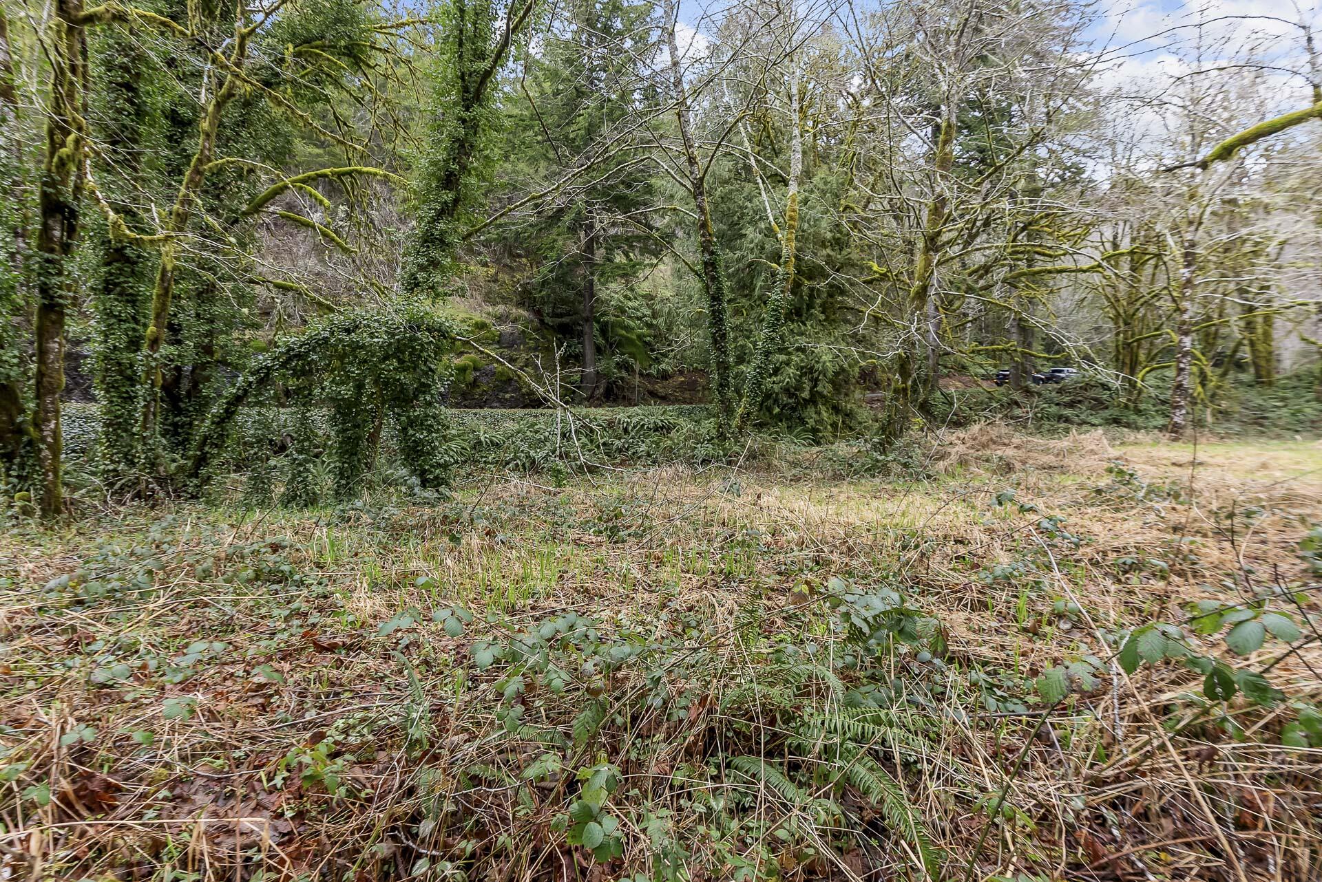 400 North Slick Rock Creek Road Otis, OR 97368 - Photo 16 of 20 Flat Lot