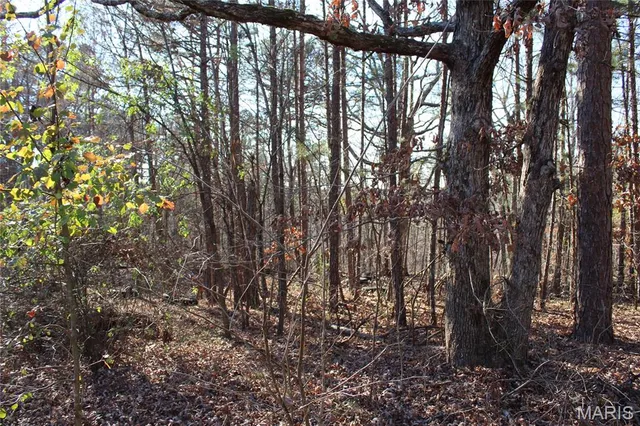 $194,500 | 202 Mountain Ash Lane, Poplar Bluff, MO 63901