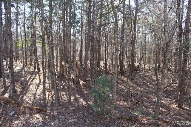 $194,500 | 202 Mountain Ash Lane, Poplar Bluff, MO 63901