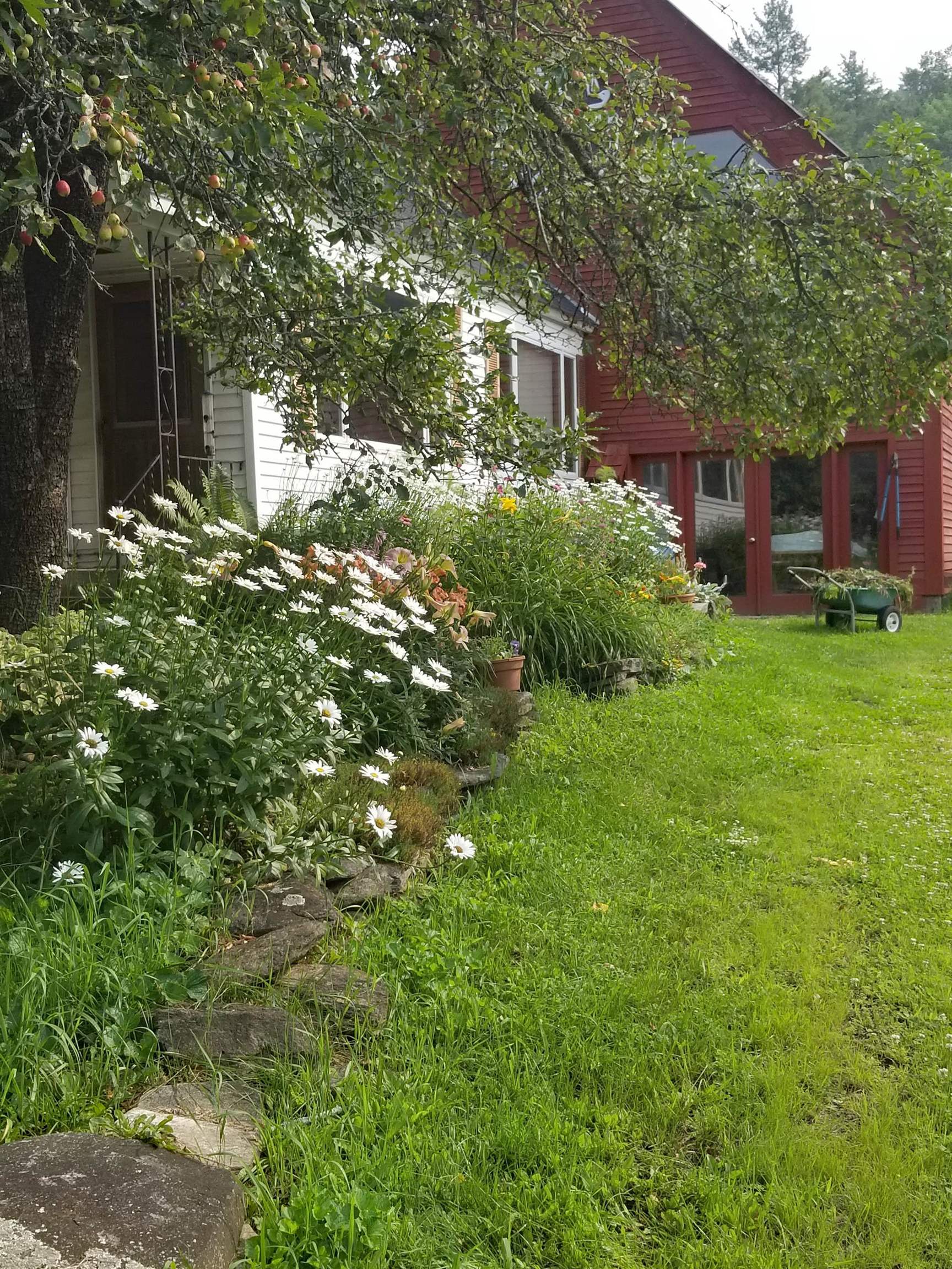 849 Saxtons River Road Rockingham, VT 05143 - Photo 3 of 43