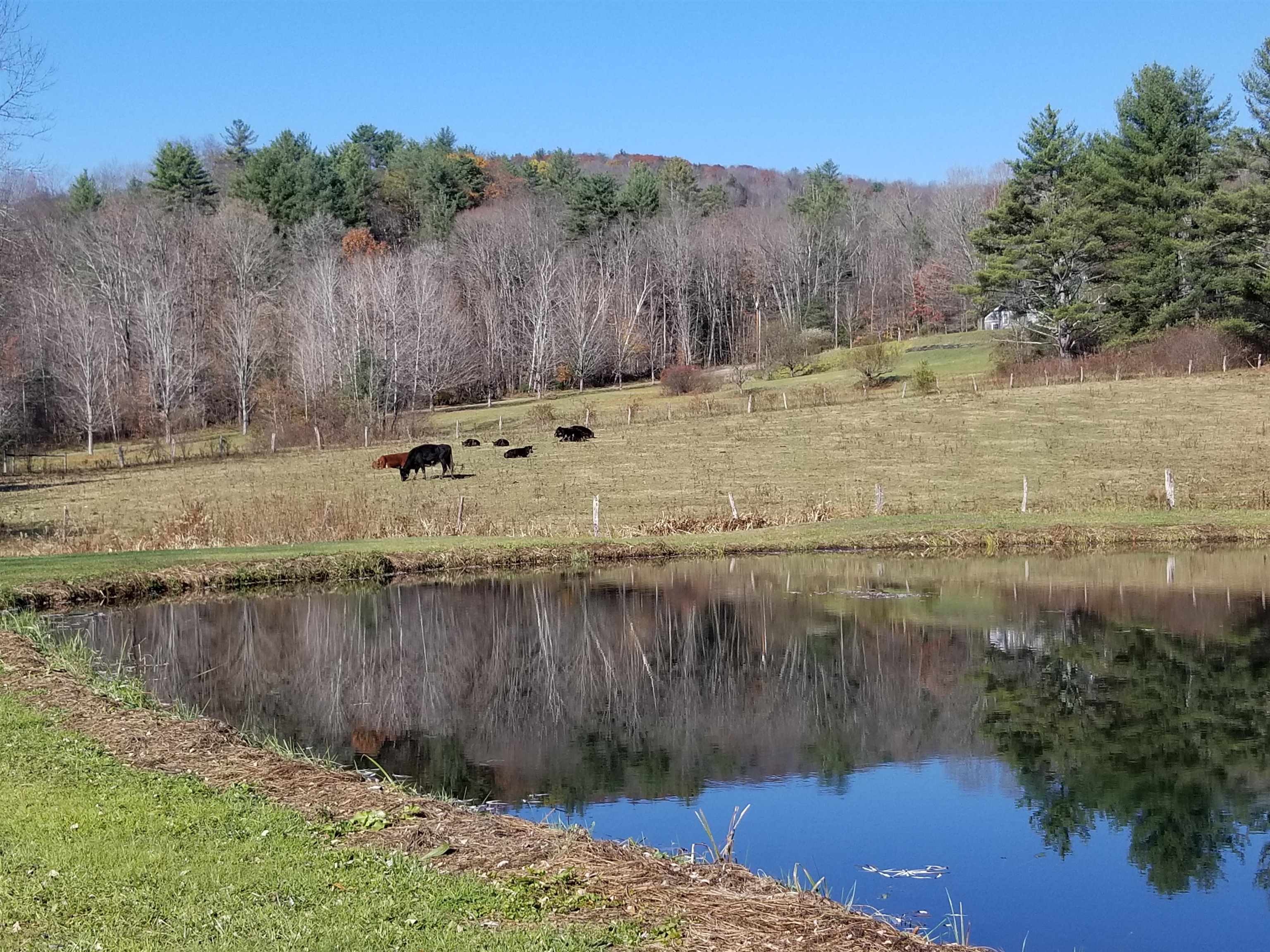 849 Saxtons River Road Rockingham, VT 05143 - Photo 32 of 43